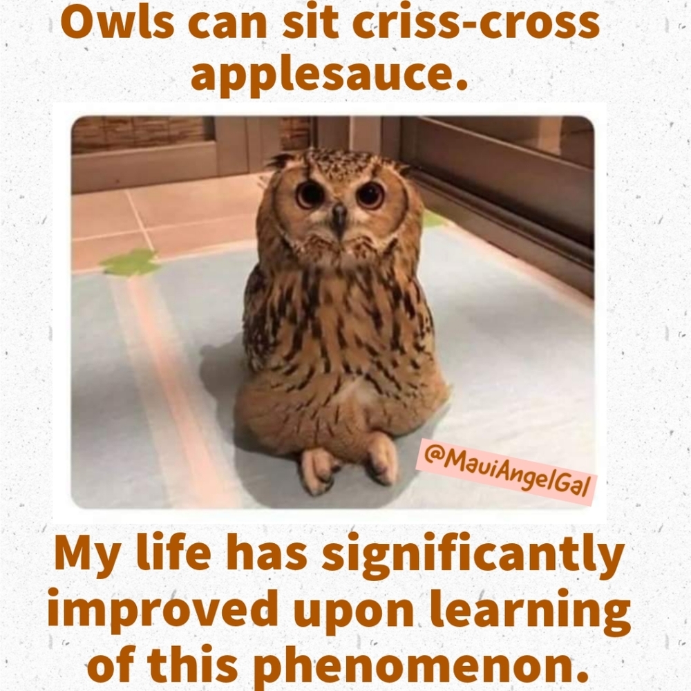 It's the little things.😁🦉❤️